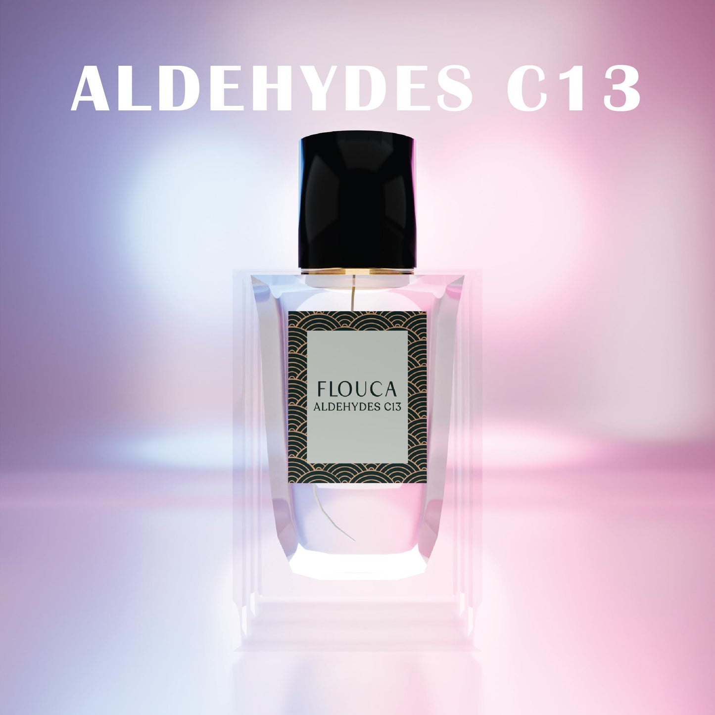 Flouca 100 ML Perfume Long Lasting EDP Fragrance